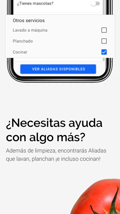 Aliada: servicios de limpieza