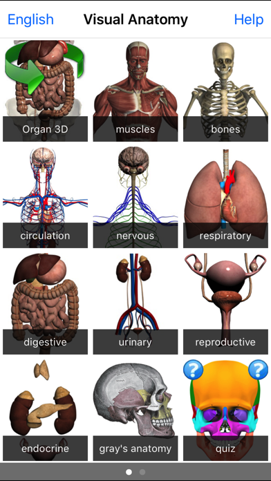 Visual Anatomy Screenshot 5