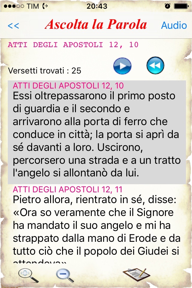 Bibbia di Gerusalemme screenshot 2