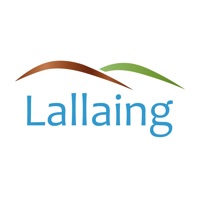 Ville de Lallaing app not working? crashes or has problems?