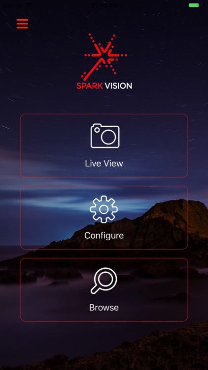 Spark Vision