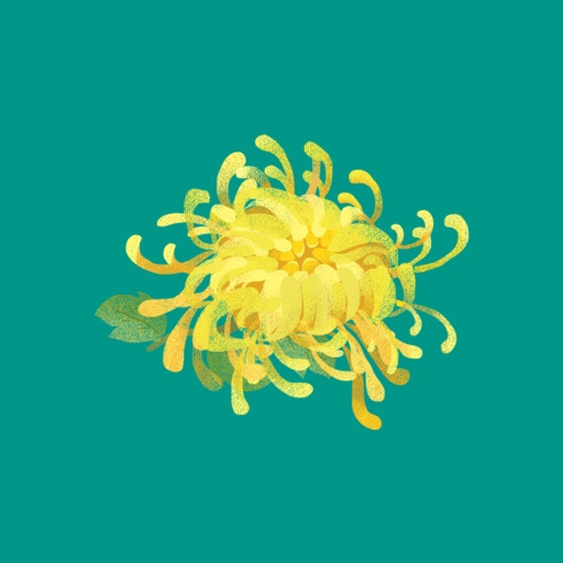 UniqueWallPaper