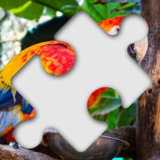 Activities of Jigsaw Photo Puzzle Deluxe