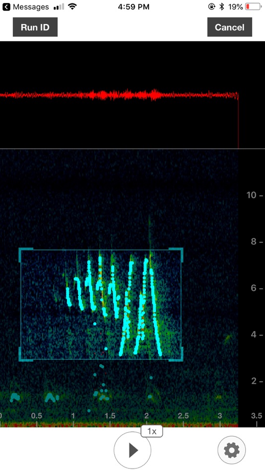 Songs analysis. Song Sleuth.