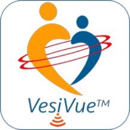 VesiVue