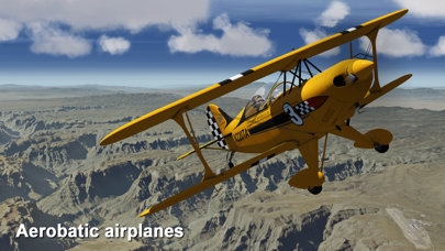 screenshot of Aerofly FS 2020 7