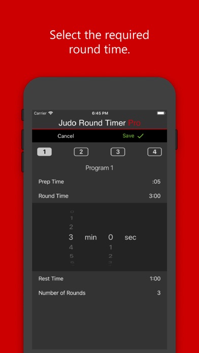 Judo Round Timer Pro screenshot 4