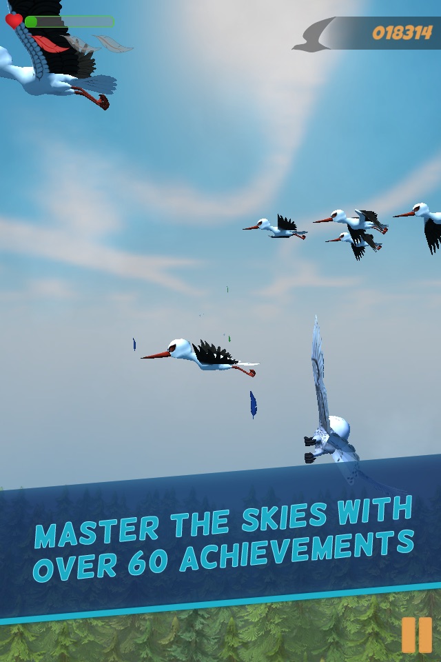 AvianJam - Bird Flight screenshot 4