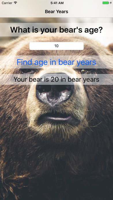 How to cancel & delete Bear Years - Simple Converter For Finding Bear Age from iphone & ipad 3