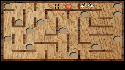 Wood Maze Deluxe screenshot 2