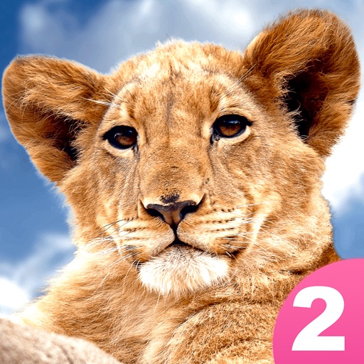 Animal Sounds & Noises 4 Kids