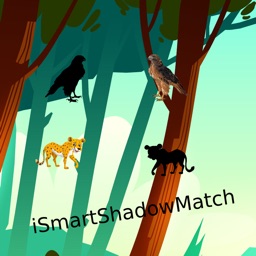 iSmartShadowMatch