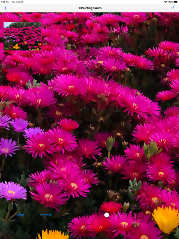 Oil_Painting App Price Drops