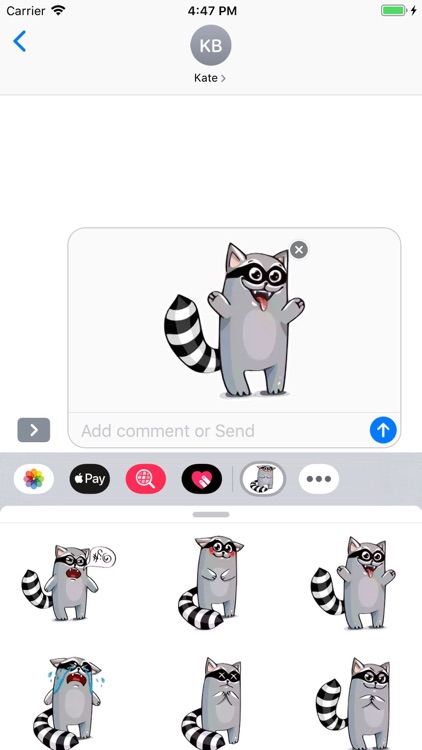 Racoon Stickers Pack screenshot-3