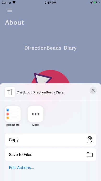 DirectionBeads Diary screenshot-6