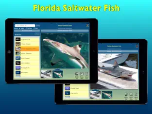 Captura de Pantalla 5 Florida Saltwater Fish iphone