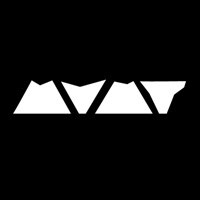 The MVMT Institute