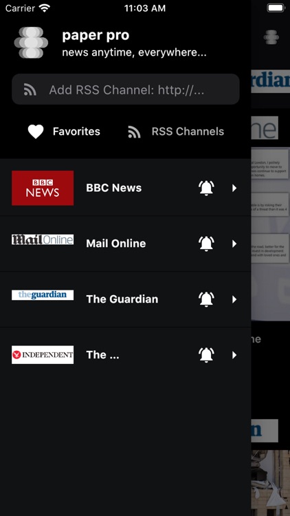 Paper Pro RSS screenshot-3