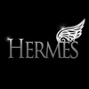 Hermes Ski