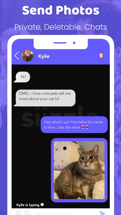 Siizzle screenshot-4