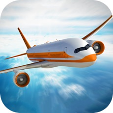 Activities of Aircraft simulation-fun sky