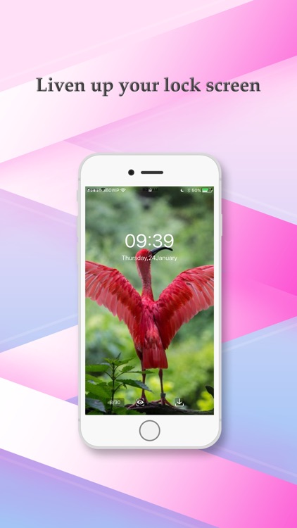 FunWallpaper
