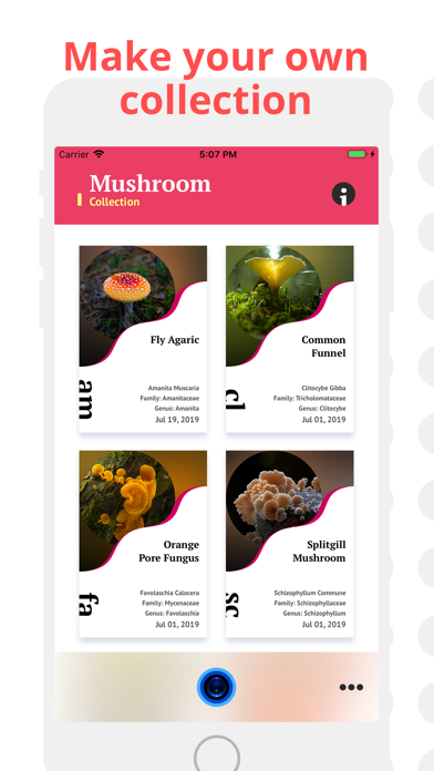 Mushroom Identification screenshot 3
