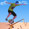 Flip SkaterBoard Game