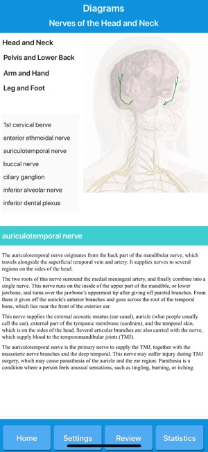 Human Nervous System Anatomy(圖4)-速報App