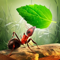 Little Ant Colony - Idle Game apk
