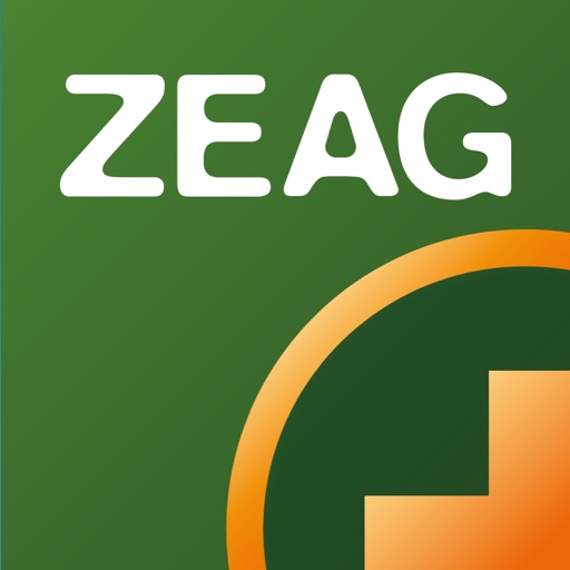 ZEAG carsharing
