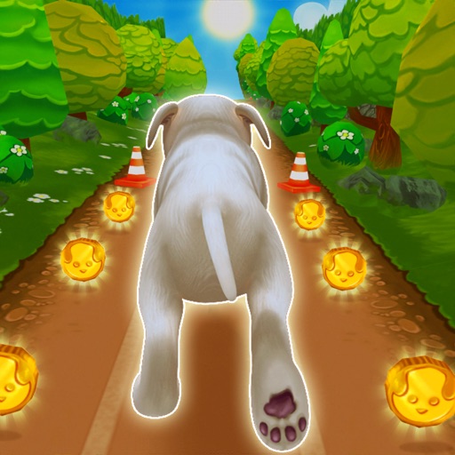 Pet Run Puppy Dog Run Game by