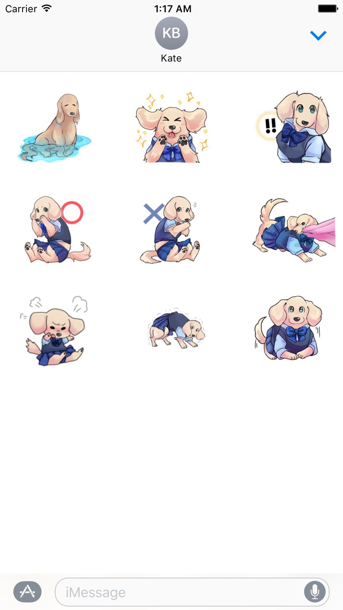 Cute Miniature Dachshund Dog