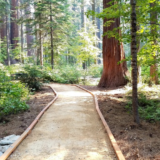 CalaverasBigTreesStatePark