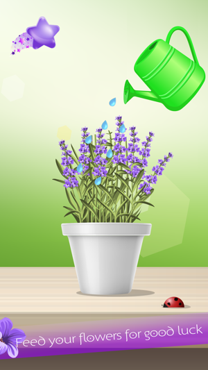 Lucky Lavender(圖4)-速報App