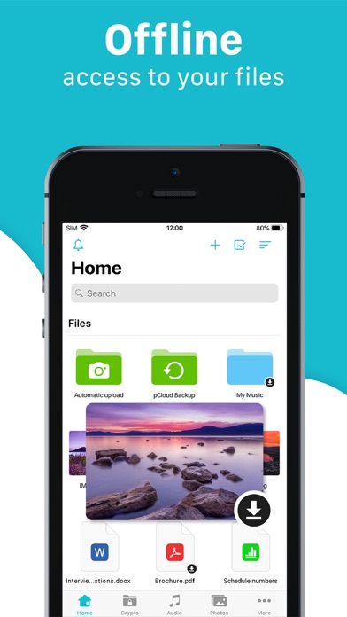 pCloud - Cloud Storage