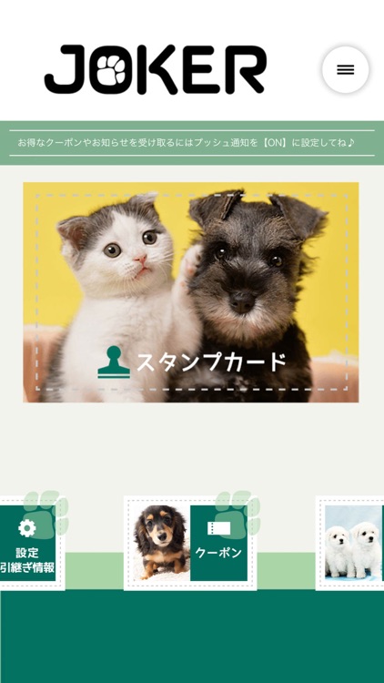 Petshop Joker ペットショップジョーカー By Joker Co Ltd Japan
