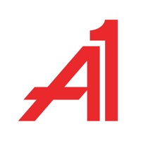 A1 Garage Door Service