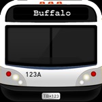 807300359