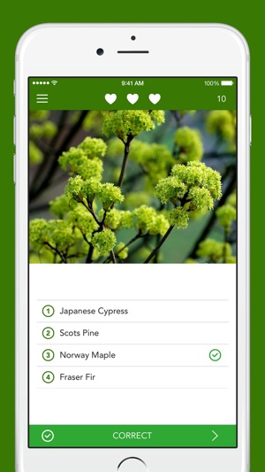 Trees 2 PRO(圖4)-速報App