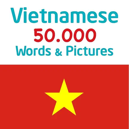 Учить вьетнамский - 50.000 Читы