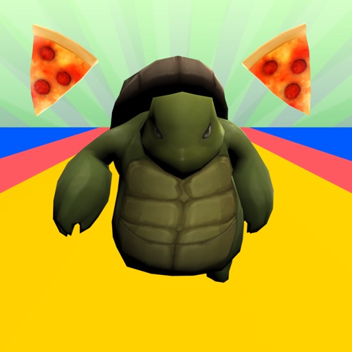 TurtleRun3D