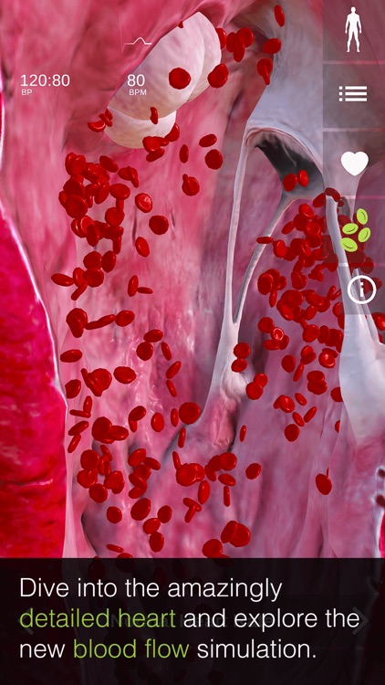 INSIGHT HEART