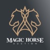 Magic Horse Auction