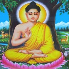 Phật Tâm