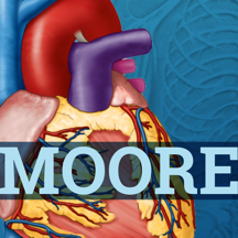 Moore's Clinical Anatomy
