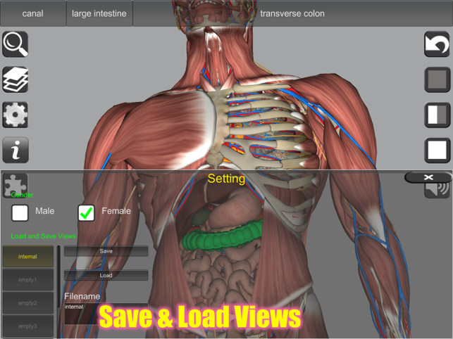 Captură de ecran de anatomie 3D