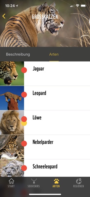 WWF Souvenirratgeber(圖3)-速報App