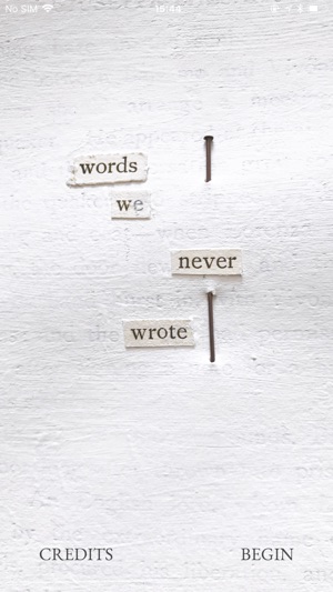 Words We Never Wrote