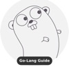 Learn Go Lang Offline [PRO]